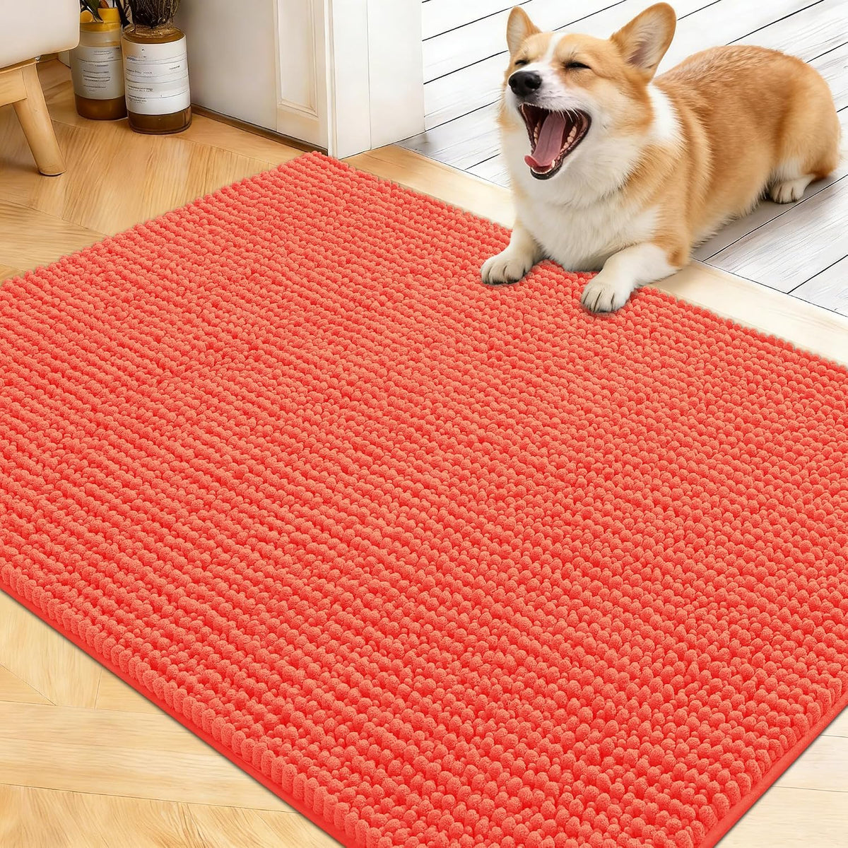 OLANLY Dog Door Mat for Muddy Paws 30x20, Extra Absorbent Chenille Mud Mat