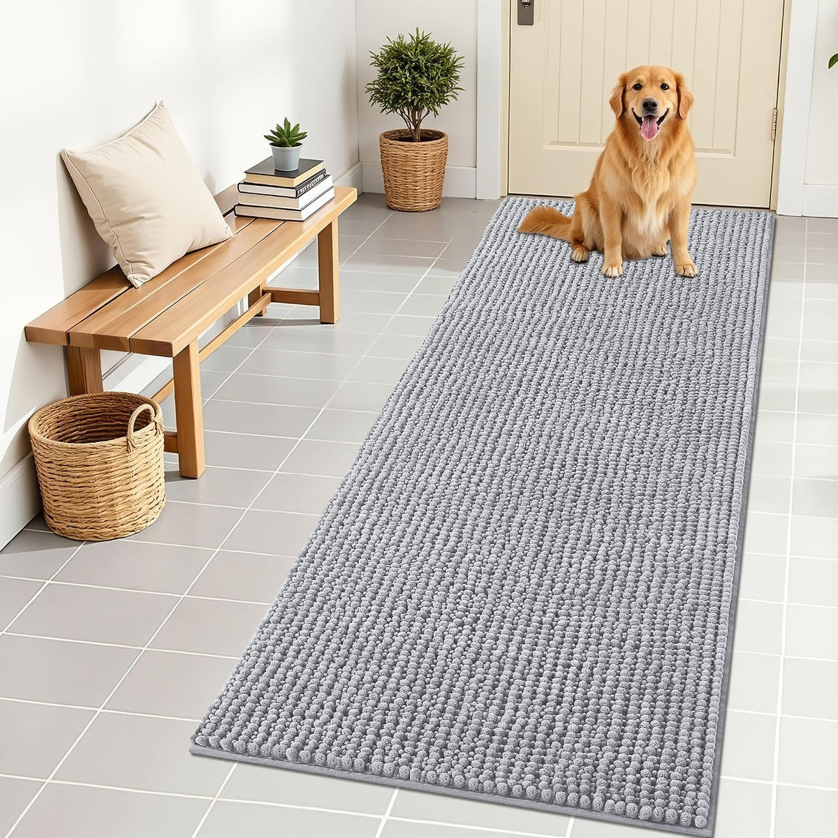 OLANLY Dog Door Mat for Muddy Paws 30x20, Extra Absorbent Chenille Mud Mat