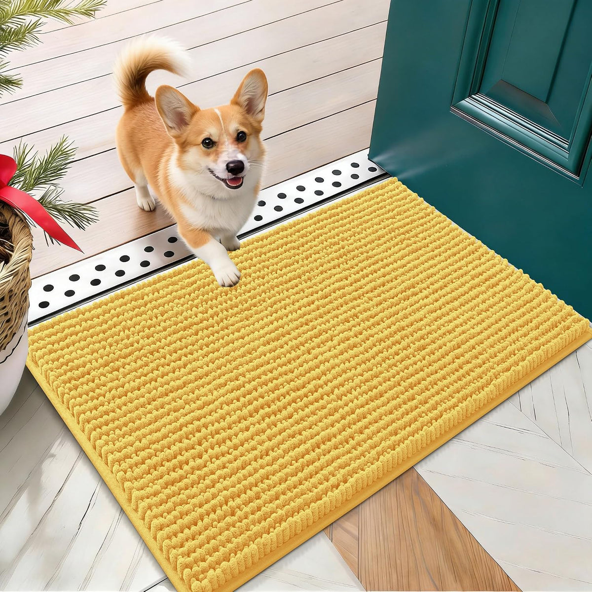 OLANLY Dog Door Mat for Muddy Paws 30x20, Extra Absorbent Chenille Mud Mat