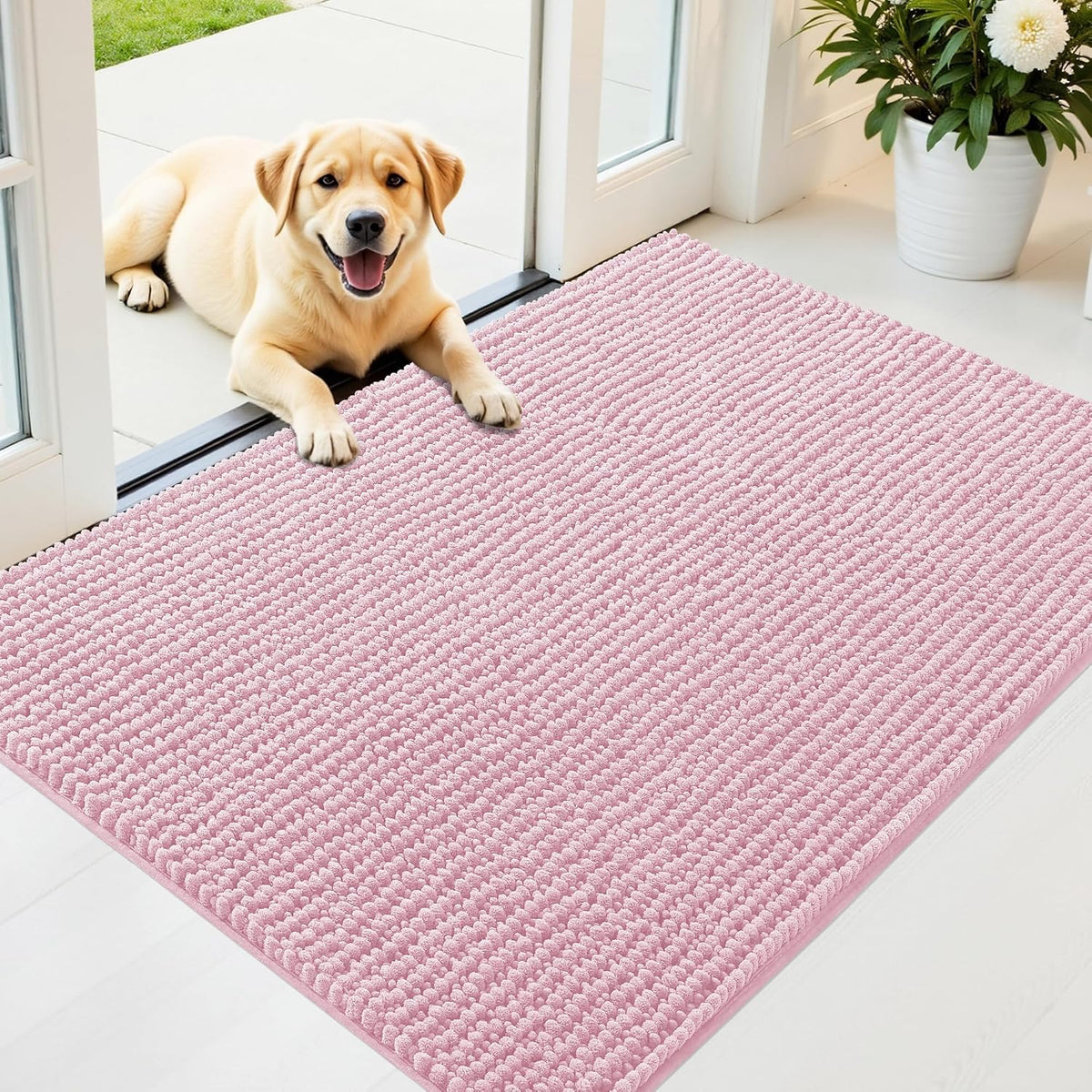 OLANLY Dog Door Mat for Muddy Paws 30x20, Extra Absorbent Chenille Mud Mat