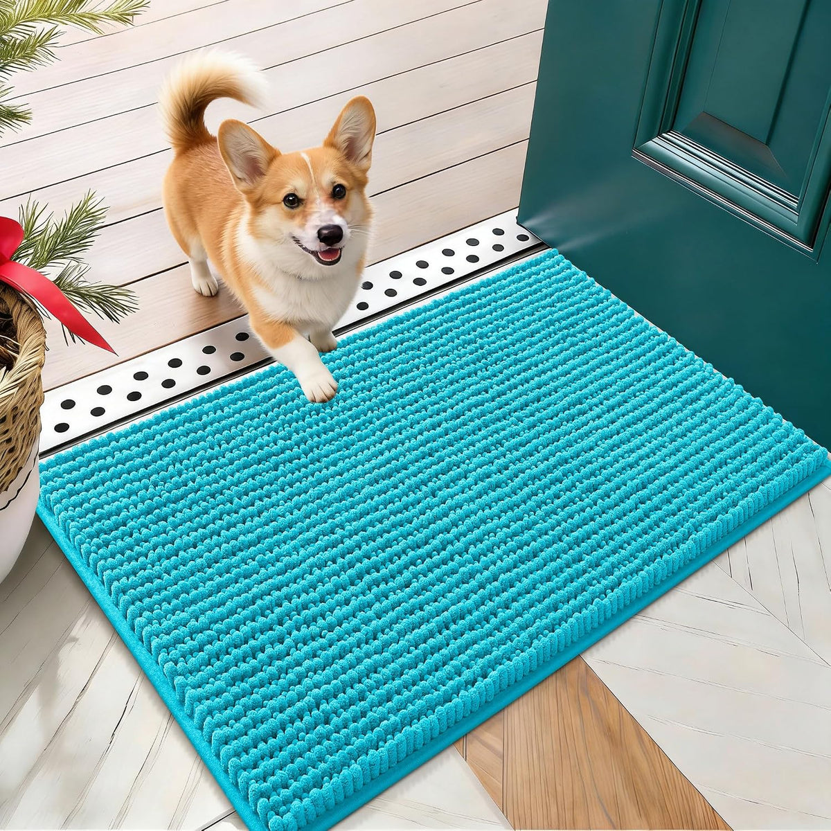 OLANLY Dog Door Mat for Muddy Paws 30x20, Extra Absorbent Chenille Mud Mat