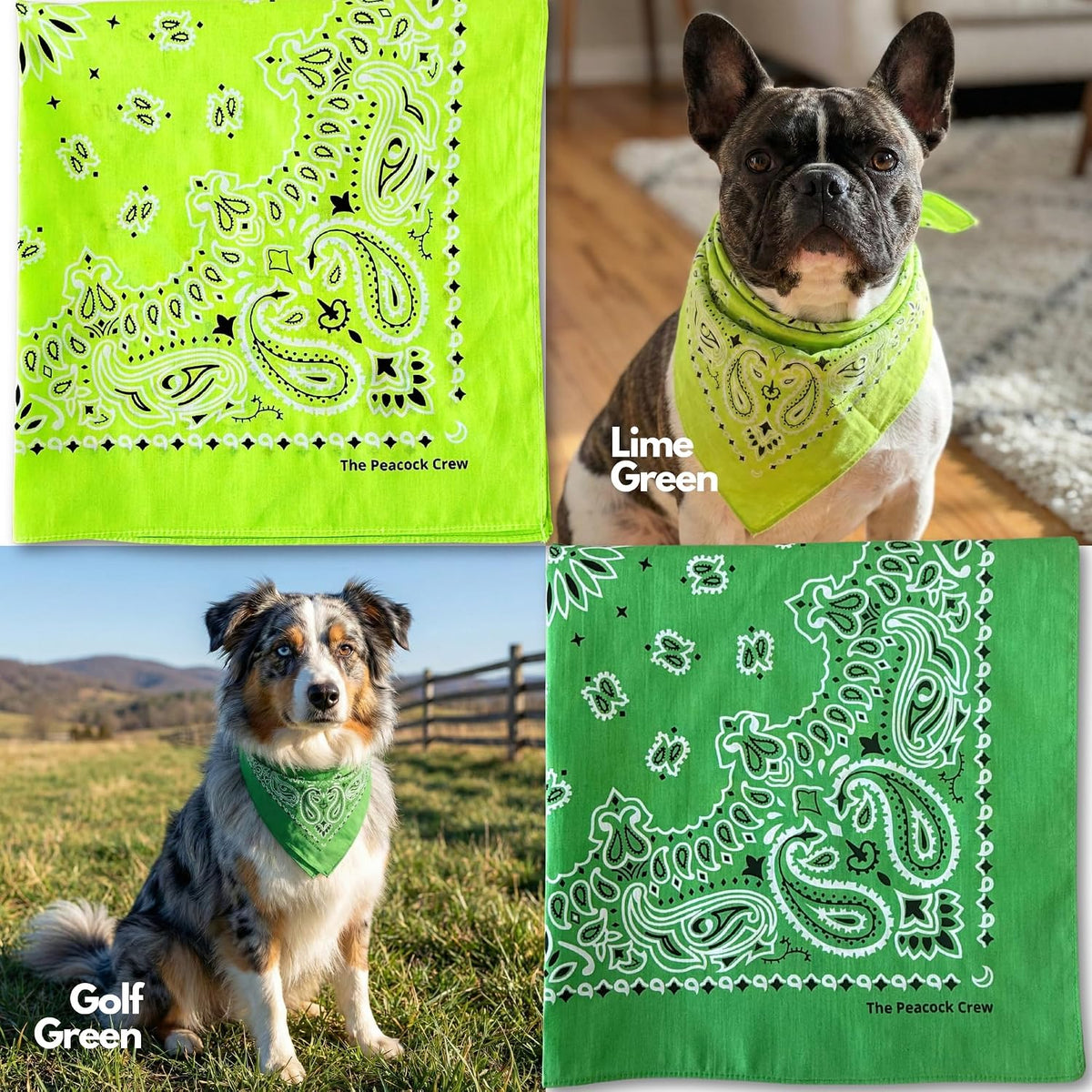 The Peacock Crew Premium Soft Cotton Bandanas Pack for Men and Women Paisley 22 x 22 inches