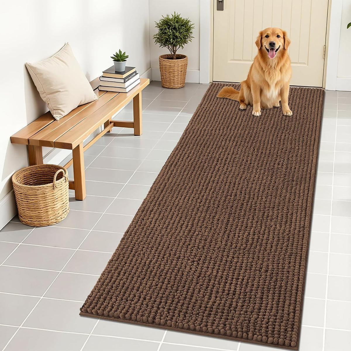 OLANLY Dog Door Mat for Muddy Paws 30x20, Extra Absorbent Chenille Mud Mat