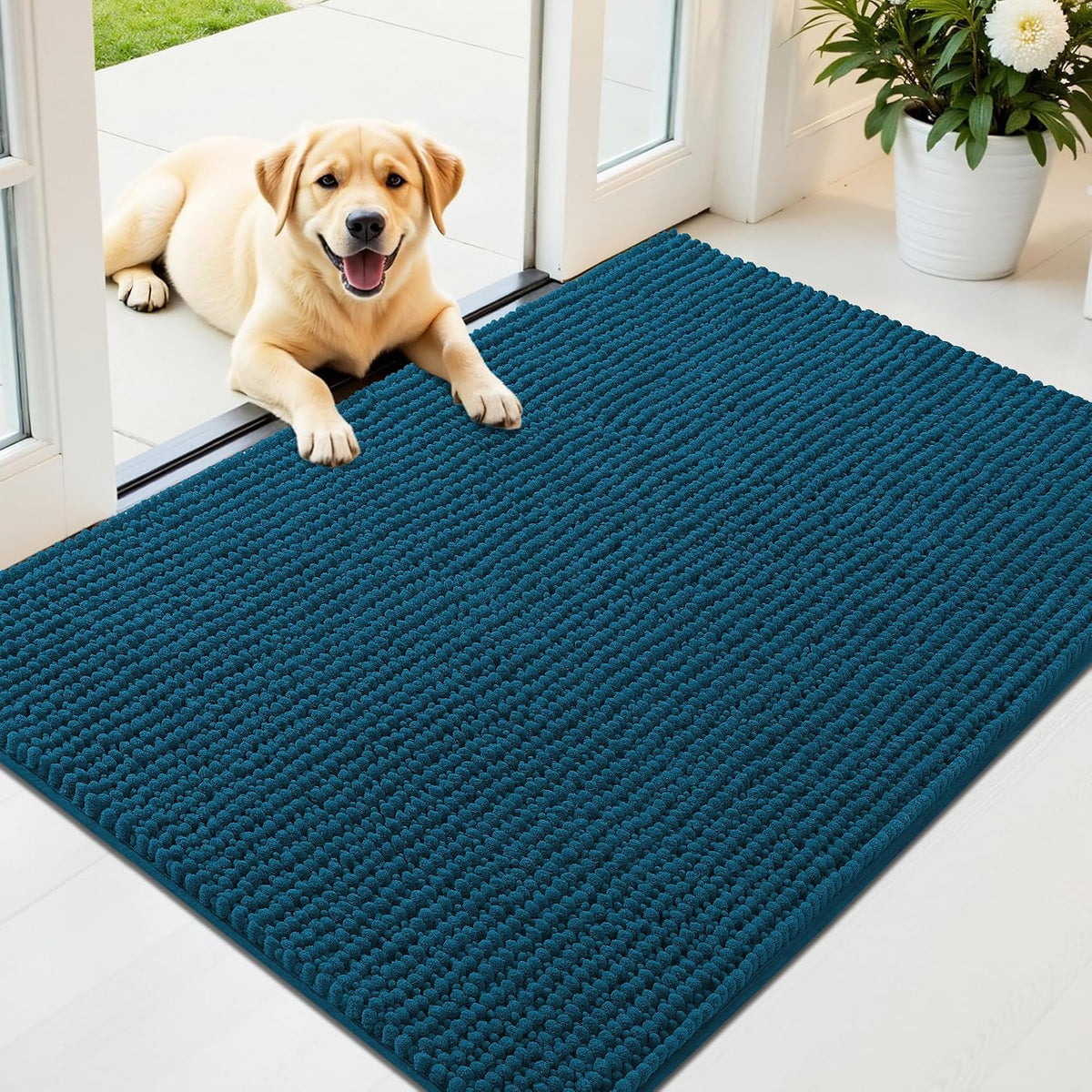 OLANLY Dog Door Mat for Muddy Paws 30x20, Extra Absorbent Chenille Mud Mat