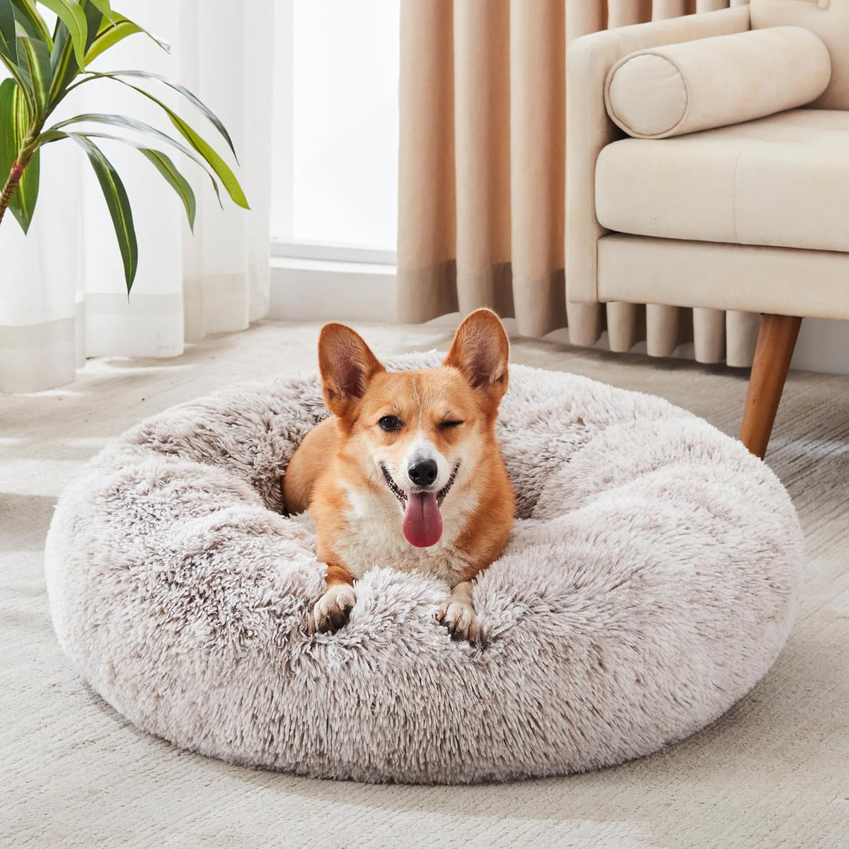Western Home Calming Donut Cat Bed Small Dog Bed Washable,20" Light Grey