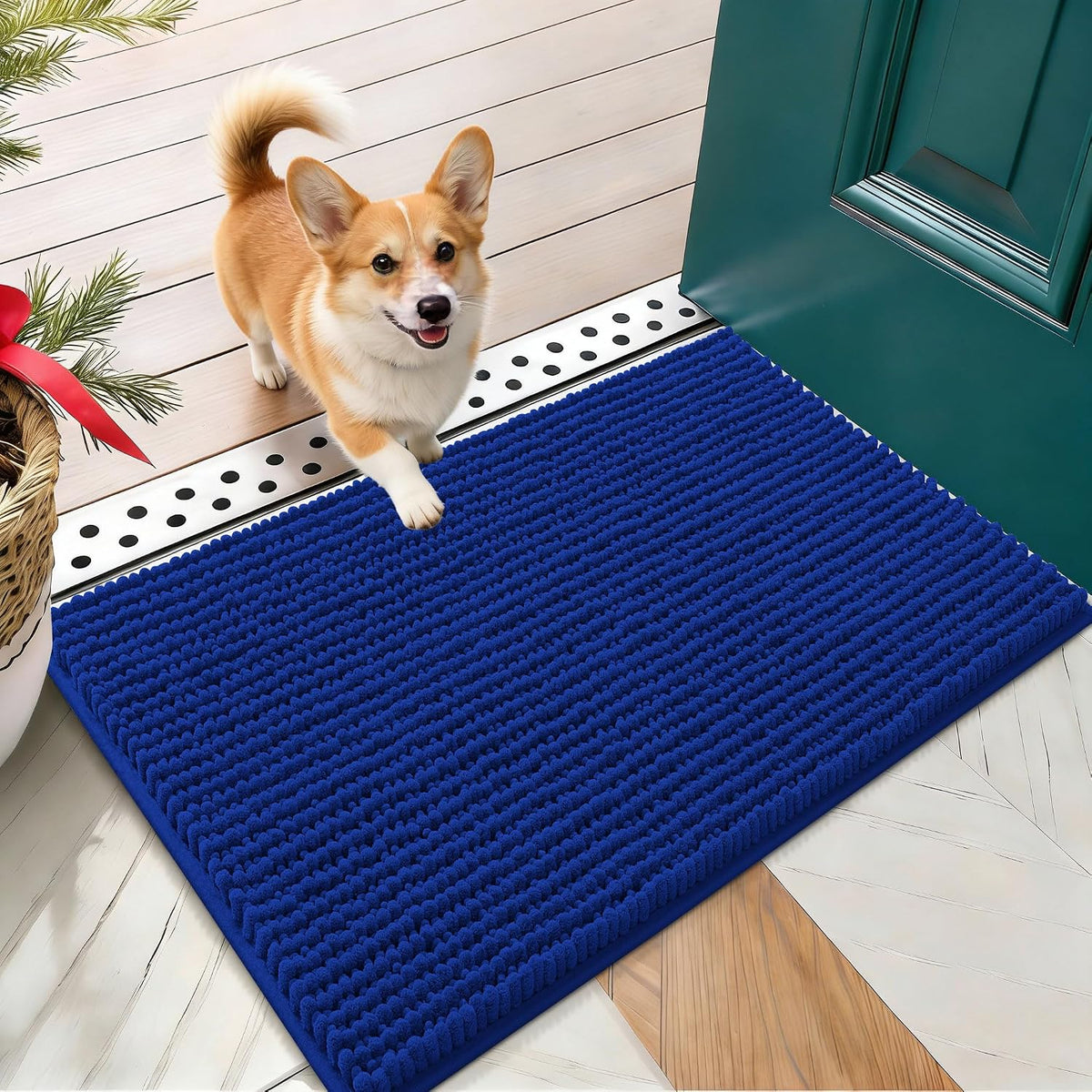 OLANLY Dog Door Mat for Muddy Paws 30x20, Extra Absorbent Chenille Mud Mat