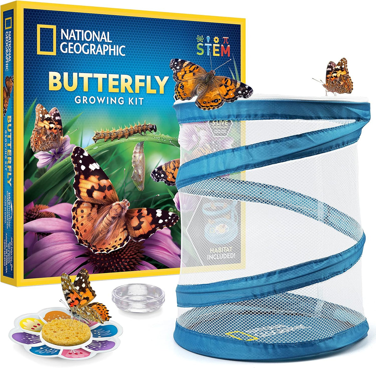 National Geographic Butterfly Growing Kit for Kids Nature Activity