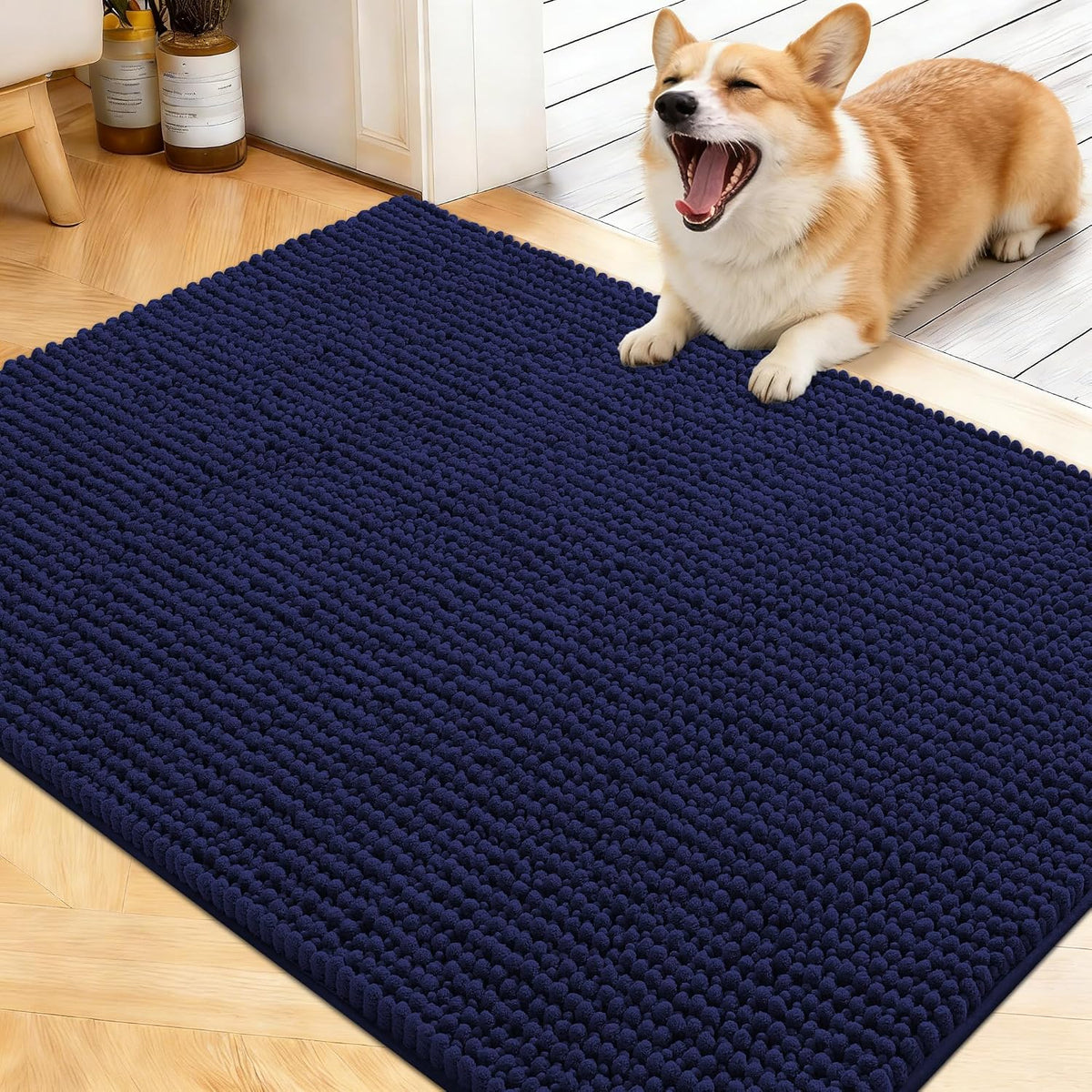 OLANLY Dog Door Mat for Muddy Paws 30x20, Extra Absorbent Chenille Mud Mat