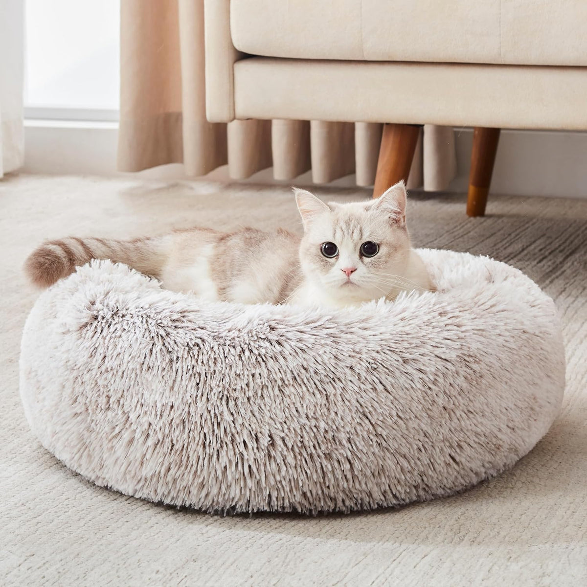 Western Home Calming Donut Cat Bed Small Dog Bed Washable,20" Light Grey