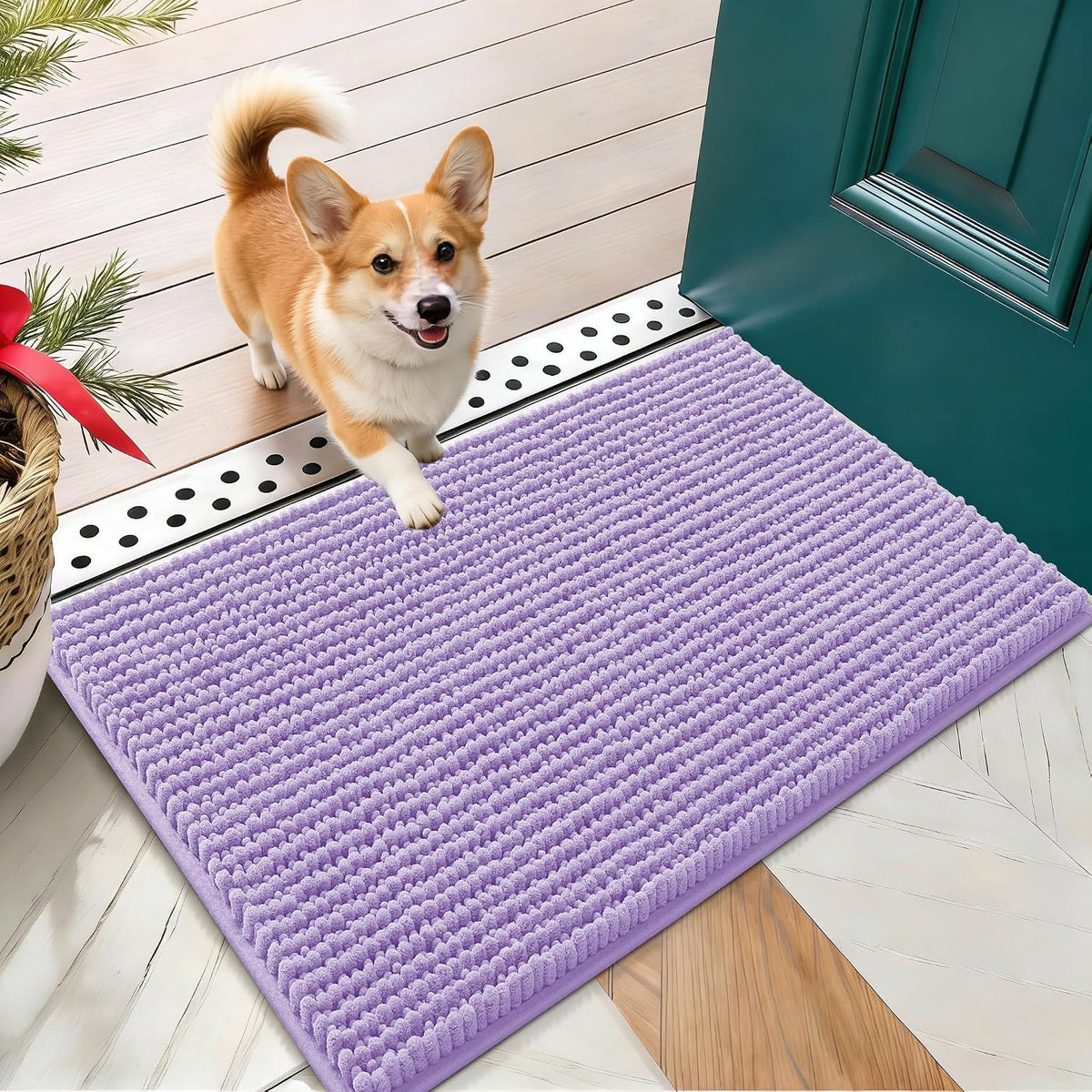OLANLY Dog Door Mat for Muddy Paws 30x20, Extra Absorbent Chenille Mud Mat