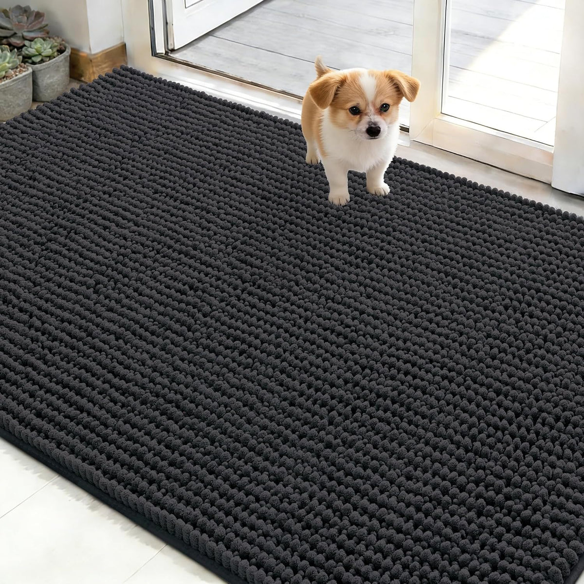 OLANLY Dog Door Mat for Muddy Paws 30x20, Extra Absorbent Chenille Mud Mat