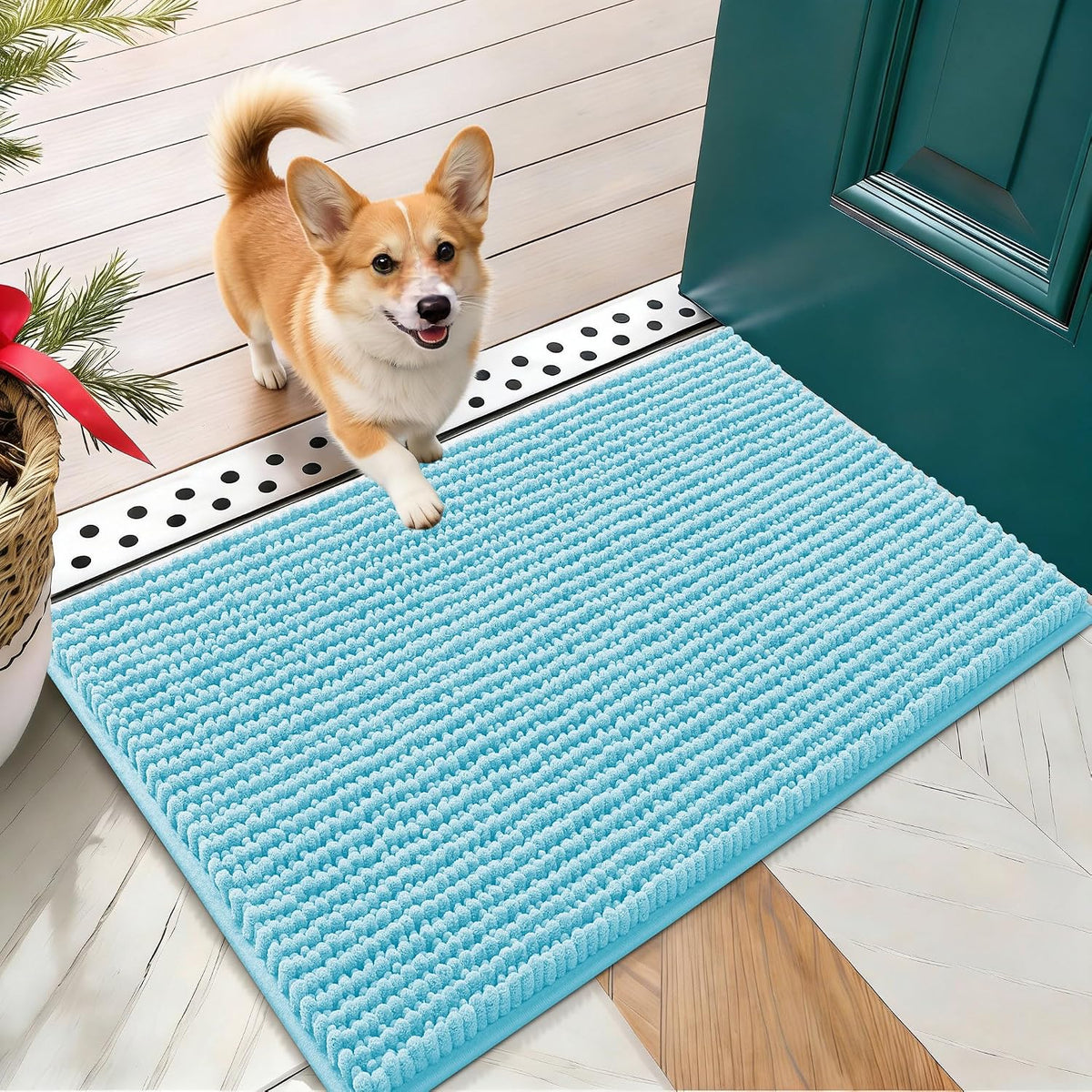 OLANLY Dog Door Mat for Muddy Paws 30x20, Extra Absorbent Chenille Mud Mat