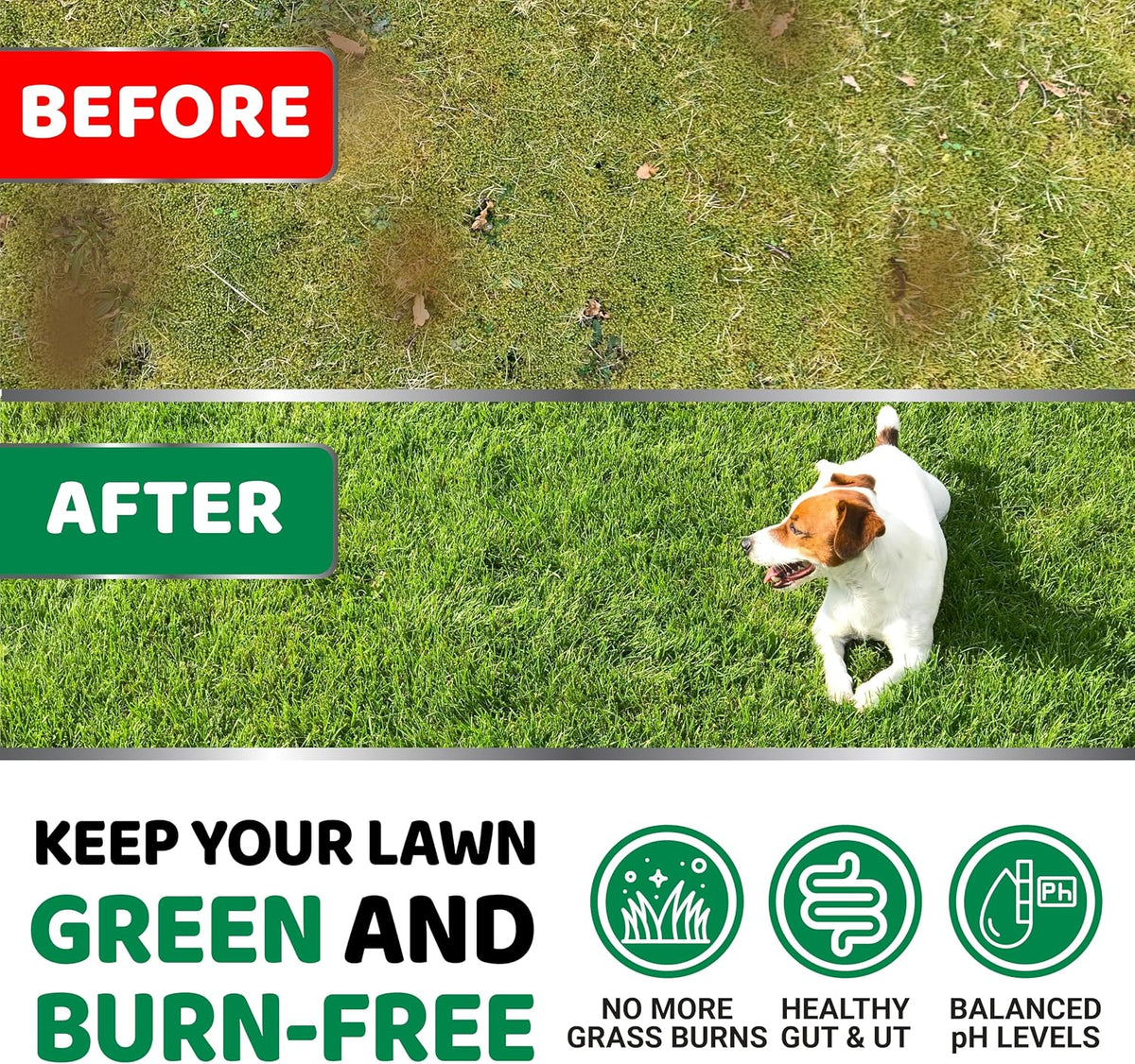 Dog Urine Neutralizer for Lawn - 170 Chews - Grass Green Saver Supplement