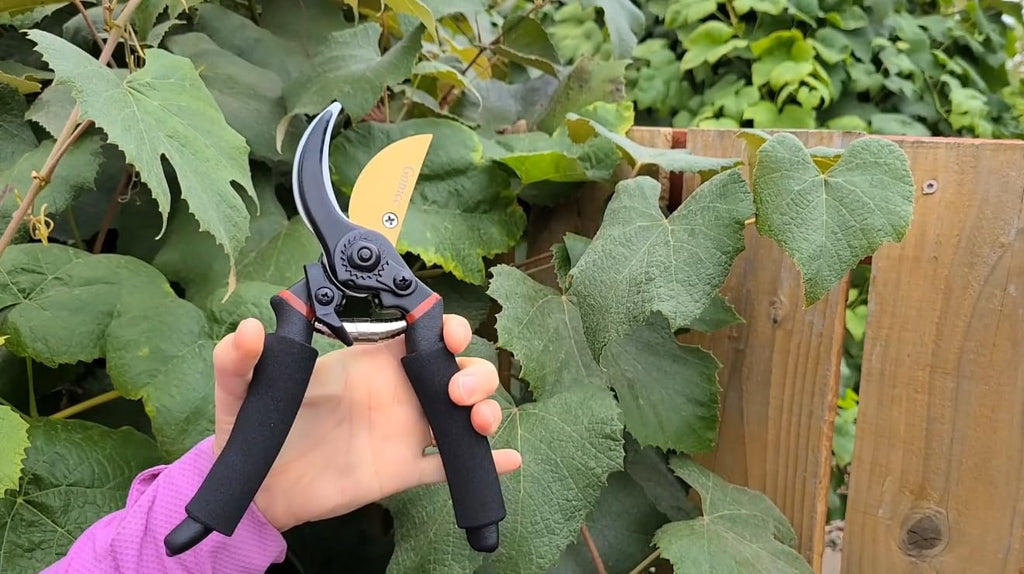 gonicc 8" Professional Premium Bypass Titanium Pruning Shears(GPPS-1003)