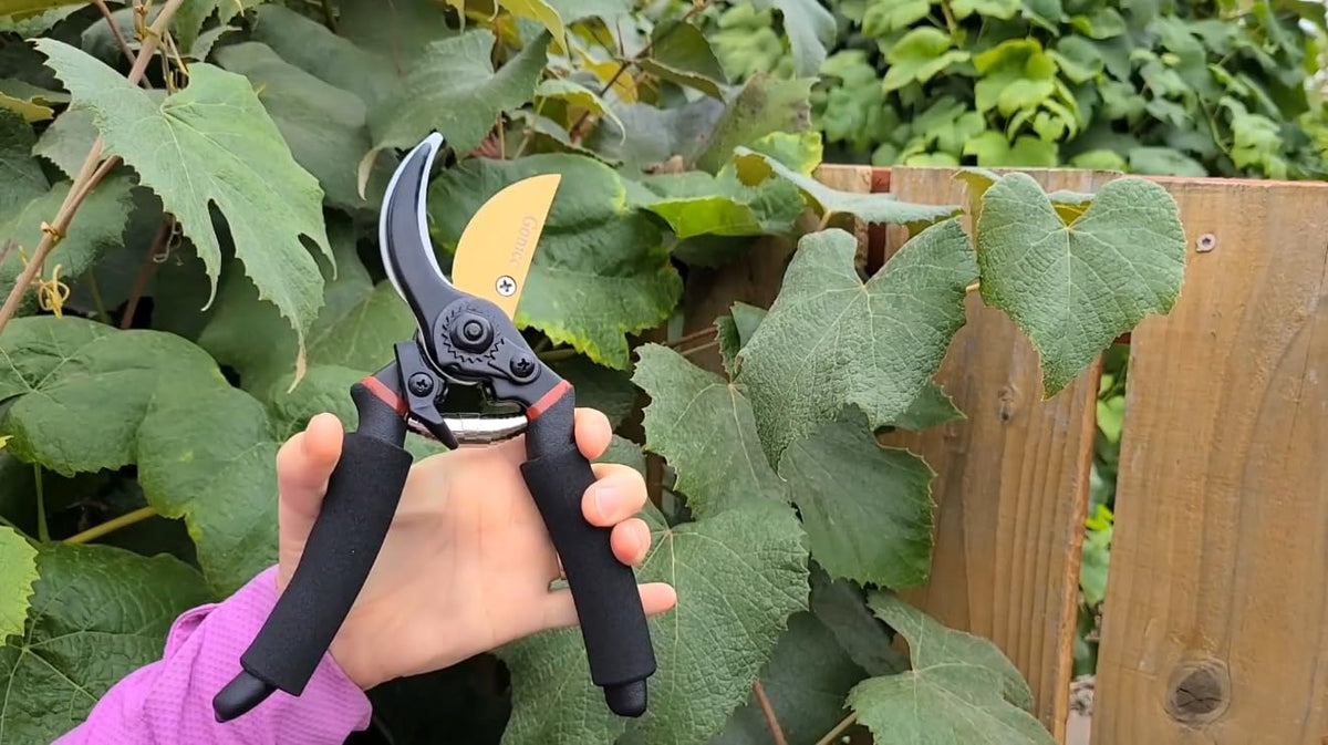 gonicc 8" Professional Premium Bypass Titanium Pruning Shears(GPPS-1003)