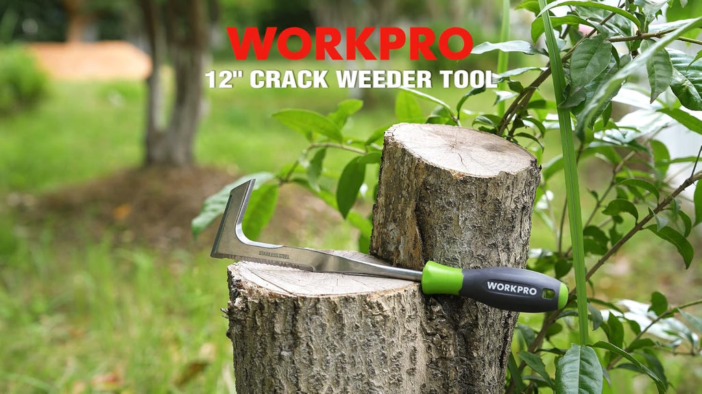 WORKPRO Crack Weeder, 12" Stainless Steel Crevice Weeding Tool